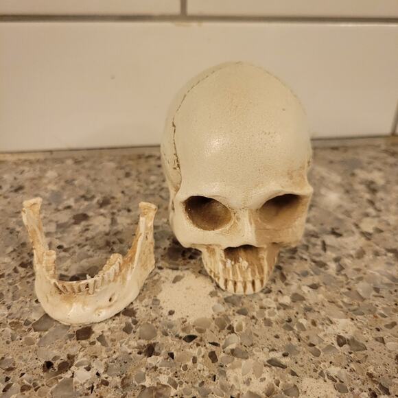 Tiny Firepit Burning Skull - Picture 5 of 9
